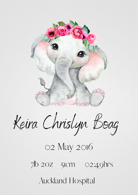 Personalised Birth Poster with Image